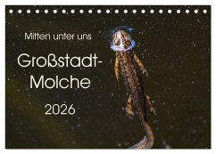 Mitten unter uns - Großstadt-Molche (Tischkalender 2026 DIN A5 quer), CALVENDO Monatskalender