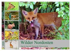 Cover Wilder Nordosten - Aug in Aug mit Tieren der Ostseeregion (Wandkalender 2026 DIN A2 quer), CALVENDO Monatskalender