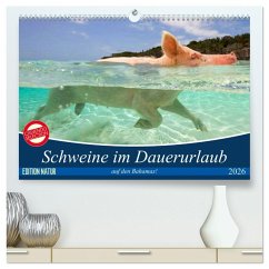 Schweine im Dauerurlaub auf den Bahamas! (hochwertiger Premium Wandkalender 2026 DIN A2 quer), Kunstdruck in Hochglanz Schweine im Dauerurlaub auf den Bahamas! (hochwertiger Premium Wandkalender 2026 DIN A2 quer), Kunstdruck in Hochglanz