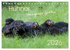 Cover Hühner im eigenen Garten (Tischkalender 2026 DIN A5 quer), CALVENDO Monatskalender