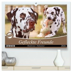 Cover Gefleckte Freunde - Hunderasse Dalmatiner (hochwertiger Premium Wandkalender 2026 DIN A2 quer), Kunstdruck in Hochglanz