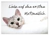 Liebe auf den ersten Katzenblick... - Bild 1