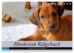 Rhodesian Ridgeback - eine Liebe fürs Leben (Tischkalender 2026 DIN A5 quer), CALVENDO Monatskalender Rhodesian Ridgeback - eine Liebe fürs Leben (Tischkalender 2026 DIN A5 quer), CALVENDO Monatskalender