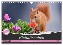 Cover Eichhörnchen Momentaufnahmen fürs Herz (Wandkalender 2026 DIN A4 quer), CALVENDO Monatskalender