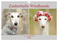 Zauberhafte Windhunde (Wandkalender 2026 DIN A4 quer), CALVENDO Monatskalender