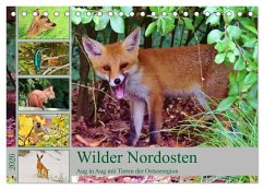 Cover Wilder Nordosten - Aug in Aug mit Tieren der Ostseeregion (Tischkalender 2026 DIN A5 quer), CALVENDO Monatskalender