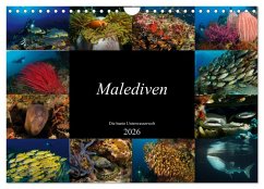 Malediven - Die bunte Unterwasserwelt (Wandkalender 2026 DIN A4 quer), CALVENDO Monatskalender