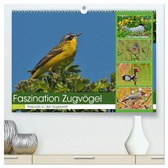 Cover Faszination Zugvögel - Rekorde in der Vogelwelt (hochwertiger Premium Wandkalender 2026 DIN A2 quer), Kunstdruck in Hochglanz