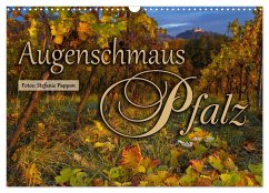 Augenschmaus Pfalz (Wandkalender 2026 DIN A3 quer), CALVENDO Monatskalender