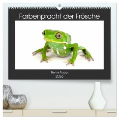 Farbenpracht der Frösche (hochwertiger Premium Wandkalender 2026 DIN A2 quer), Kunstdruck in Hochglanz Farbenpracht der Frösche (hochwertiger Premium Wandkalender 2026 DIN A2 quer), Kunstdruck in Hochglanz