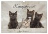 Katzenjahr 2026 (Wandkalender 2026 DIN... - Bild 1