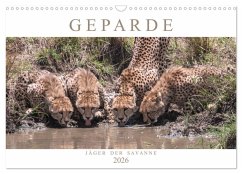 Cover Geparde - Jäger der Savanne (Wandkalender 2026 DIN A3 quer), CALVENDO Monatskalender