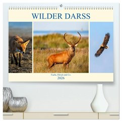 Wilder Darß - Fuchs, Hirsch und Co. 2026 (hochwertiger Premium Wandkalender 2026 DIN A2 quer), Kunstdruck in Hochglanz