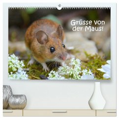 Grüsse von der Maus! (hochwertiger Premium Wandkalender 2026 DIN A2 quer), Kunstdruck in Hochglanz Grüsse von der Maus! (hochwertiger Premium Wandkalender 2026 DIN A2 quer), Kunstdruck in Hochglanz