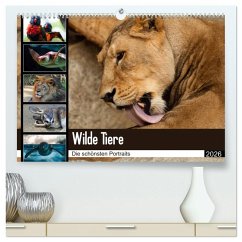 Wilde Tiere - Die schönsten Portraits (hochwertiger Premium Wandkalender 2026 DIN A2 quer), Kunstdruck in Hochglanz