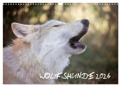 Wolfshunde 2026 (Wandkalender 2026 DIN A3 quer), CALVENDO Monatskalender