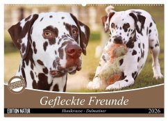 Cover Gefleckte Freunde - Hunderasse Dalmatiner (Wandkalender 2026 DIN A2 quer), CALVENDO Monatskalender