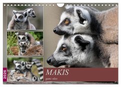 Cover Makis ganz süss (Wandkalender 2026 DIN A4 quer), CALVENDO Monatskalender