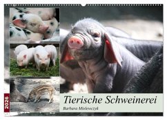 Cover Tierische Schweinerei (Wandkalender 2026 DIN A2 quer), CALVENDO Monatskalender