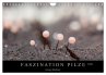 FASZINATION PILZE 2026 (Wandkalender... - Bild 1