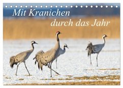 Mit Kranichen durch das Jahr (Tischkalender 2026 DIN A5 quer), CALVENDO Monatskalender Mit Kranichen durch das Jahr (Tischkalender 2026 DIN A5 quer), CALVENDO Monatskalender