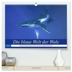 Die blaue Welt der Wale (hochwertiger Premium Wandkalender 2026 DIN A2 quer), Kunstdruck in Hochglanz