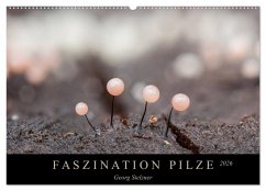 FASZINATION PILZE 2026 (Wandkalender 2026 DIN A2 quer), CALVENDO Monatskalender Cover FASZINATION PILZE 2026 (Wandkalender 2026 DIN A2 quer), CALVENDO Monatskalender