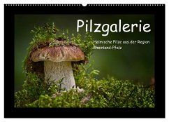 Pilzgalerie - Heimische Pilze aus der Region Rheinland-Pfalz (Wandkalender 2026 DIN A2 quer), CALVENDO Monatskalender Pilzgalerie - Heimische Pilze aus der Region Rheinland-Pfalz (Wandkalender 2026 DIN A2 quer), CALVENDO Monatskalender