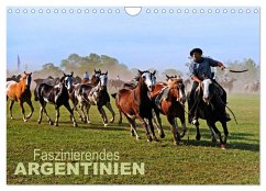 Cover Faszinierendes Argentinien (Wandkalender 2026 DIN A4 quer), CALVENDO Monatskalender