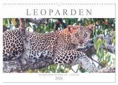 Cover Leoparden - Geheimnisvolle Jäger (Wandkalender 2026 DIN A3 quer), CALVENDO Monatskalender