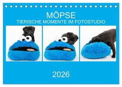 MÖPSE - tierische Momente im Fotostudio (Tischkalender 2026 DIN A5 quer), CALVENDO Monatskalender MÖPSE - tierische Momente im Fotostudio (Tischkalender 2026 DIN A5 quer), CALVENDO Monatskalender