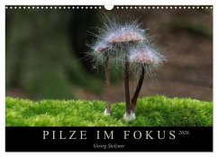 PILZE IM FOKUS 2026 (Wandkalender 2026 DIN A3 quer), CALVENDO Monatskalender Cover PILZE IM FOKUS 2026 (Wandkalender 2026 DIN A3 quer), CALVENDO Monatskalender