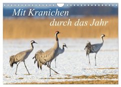 Mit Kranichen durch das Jahr (Wandkalender 2026 DIN A4 quer), CALVENDO Monatskalender Mit Kranichen durch das Jahr (Wandkalender 2026 DIN A4 quer), CALVENDO Monatskalender