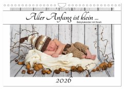 Cover Aller Anfang ist klein - Babykalender mit Noah (Wandkalender 2026 DIN A4 quer), CALVENDO Monatskalender