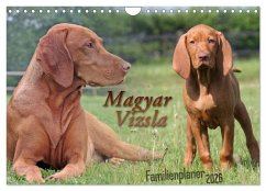 Cover Familienplaner - Magyar Vizsla (Wandkalender 2026 DIN A4 quer), CALVENDO Monatskalender