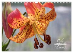 Cover Lilien (Lilium) (Wandkalender 2026 DIN A3 quer), CALVENDO Monatskalender