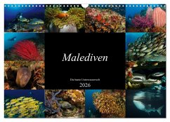 Malediven - Die bunte Unterwasserwelt (Wandkalender 2026 DIN A3 quer), CALVENDO Monatskalender