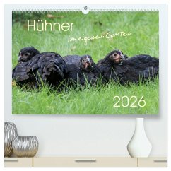 Cover Hühner im eigenen Garten (hochwertiger Premium Wandkalender 2026 DIN A2 quer), Kunstdruck in Hochglanz