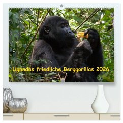 Cover Ugandas friedliche Berggorillas (hochwertiger Premium Wandkalender 2026 DIN A2 quer), Kunstdruck in Hochglanz