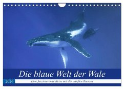 Die blaue Welt der Wale (Wandkalender 2026 DIN A4 quer), CALVENDO Monatskalender