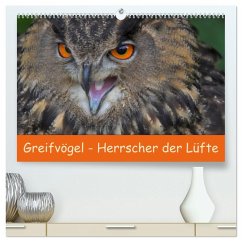 Greifvögel - Herrscher der Lüfte (hochwertiger Premium Wandkalender 2026 DIN A2 quer), Kunstdruck in Hochglanz