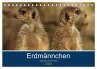 Erdmännchen - Zusammen sind wir stark... - Bild 1