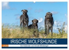 Irische Wolfshunde (Wandkalender 2026 DIN A2 quer), CALVENDO Monatskalender