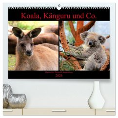 Koala, Känguru und Co. - Das wilde Tierreich Australiens (hochwertiger Premium Wandkalender 2026 DIN A2 quer), Kunstdruck in Hochglanz