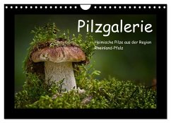 Pilzgalerie - Heimische Pilze aus der Region Rheinland-Pfalz (Wandkalender 2026 DIN A4 quer), CALVENDO Monatskalender Pilzgalerie - Heimische Pilze aus der Region Rheinland-Pfalz (Wandkalender 2026 DIN A4 quer), CALVENDO Monatskalender