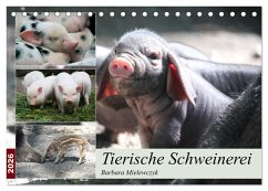Cover Tierische Schweinerei (Tischkalender 2026 DIN A5 quer), CALVENDO Monatskalender