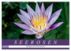 Seerosen - Königin der Gartenteiche (Wandkalender 2026 DIN A2 quer), CALVENDO Monatskalender Seerosen - Königin der Gartenteiche (Wandkalender 2026 DIN A2 quer), CALVENDO Monatskalender