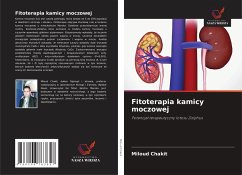 Cover Fitoterapia kamicy moczowej