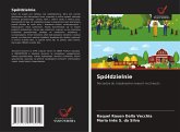 Spó¿dzielnie Spó¿dzielnie