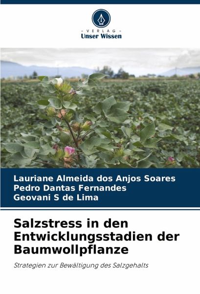 Salzstress in den Entwicklungsstadien der Baumwollpflanze